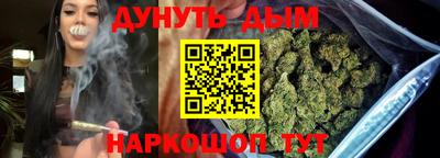 сатива Тверь