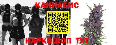 сатива Тверь