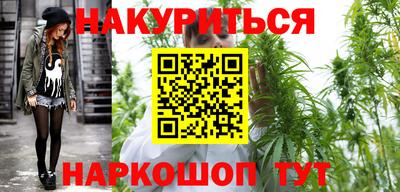сатива Тверь