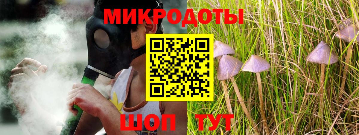 Псилоцибиновые грибы Cubensis Новочеркасск