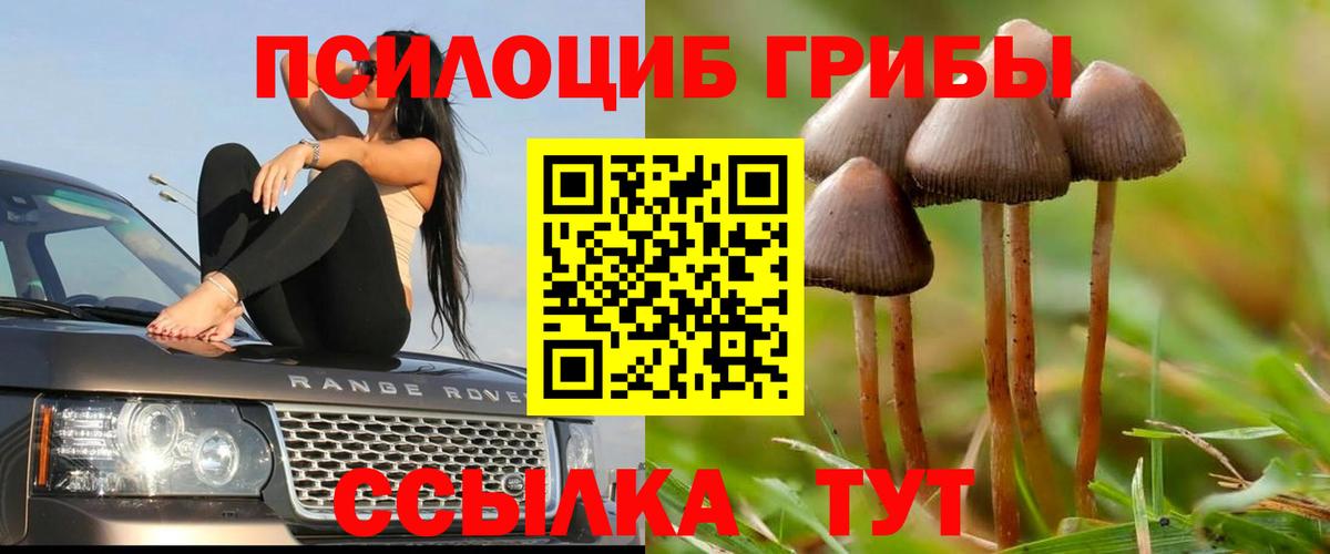 Псилоцибиновые грибы GOLDEN TEACHER  Вход с VPN  Новочеркасск 